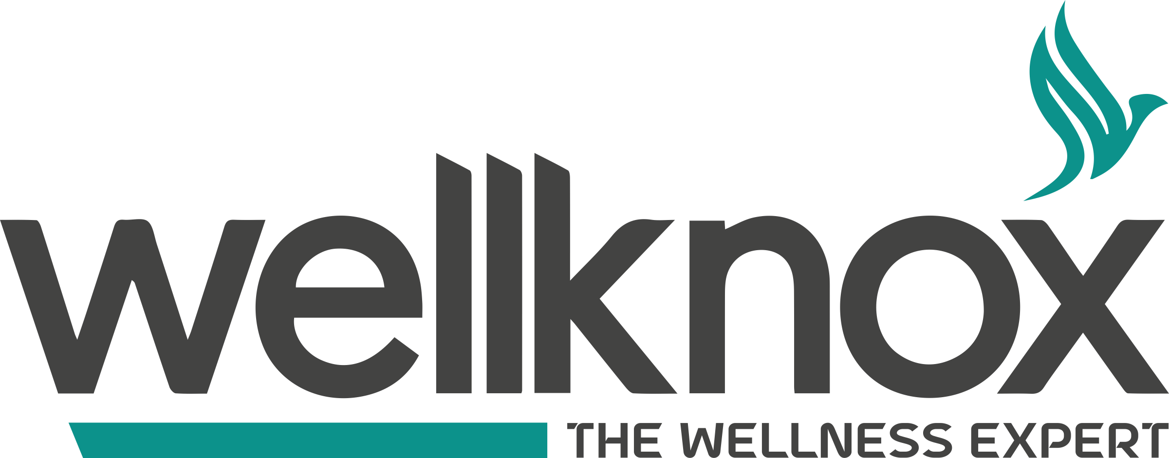 Wellknox — India's Most Advanced Medical Rehabilitation Center